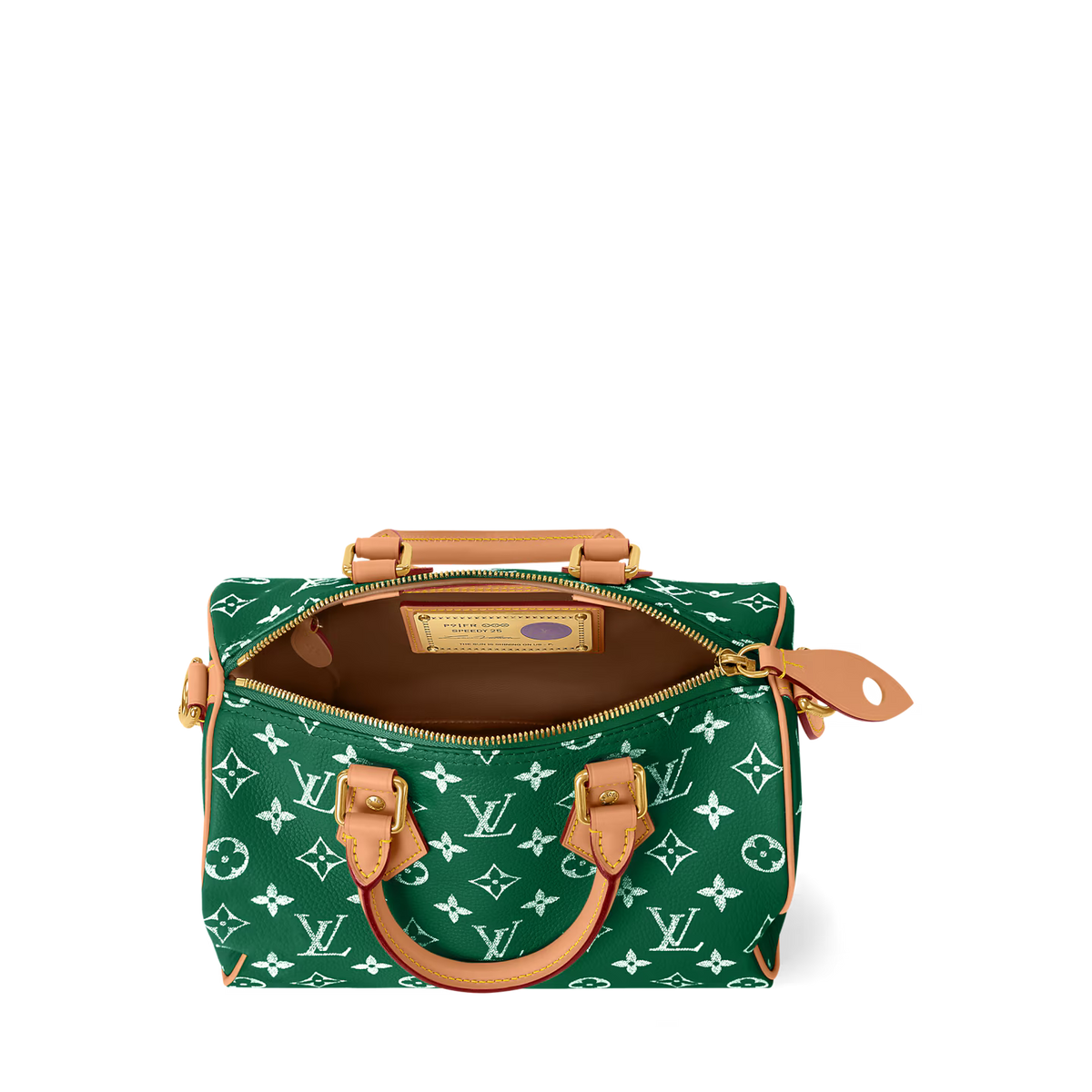 Louis Vuitton Speedy P9 25 Green